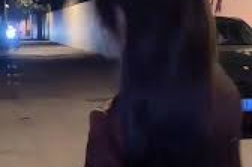 “顾客携带宠物狗进店上桌就餐”沈阳涉事餐馆深夜致歉并公布整改措施